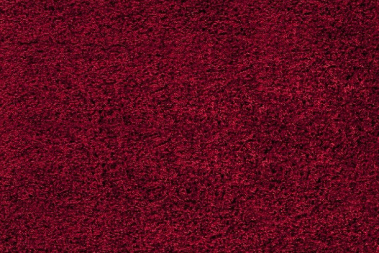 Kusový koberec Dream Shaggy 4000 Red