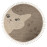 Dětský kusový koberec My Fano 396 Cats kruh