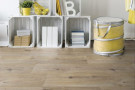 PVC Texline Sherwood Blond 2013