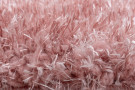 Kusový koberec Brilliant Shaggy 4200 Rose